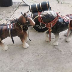 2 Shire Horses