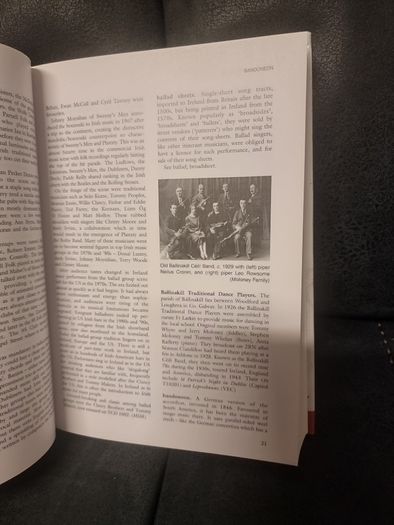 Companion to Irish Traditional Music (Hardback)