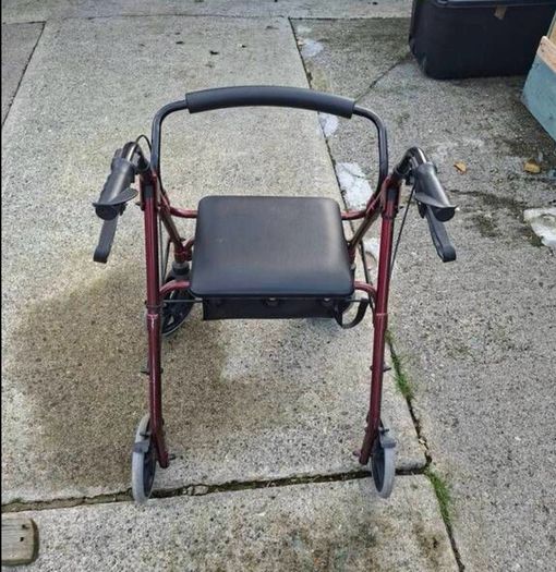 Adult Walker