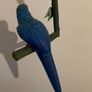 Handmade bird parrot Image 3