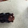 1970s Vtg. 5.5 inches Carved Wood Monkey Primitive Folk Art - Hear No Evil/MOP Eyes Image 6