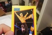 Wcw Sting Card - Wwe
