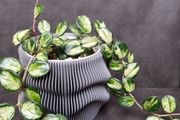 3D printed plant pot - grey PETG