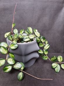3D printed plant pot - grey PETG