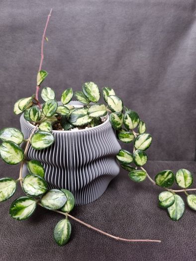 3D printed plant pot - grey PETG