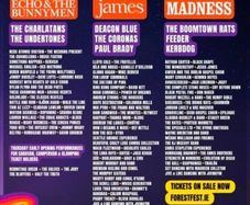 Forest fest campervan pass only
