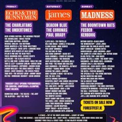 Forest fest campervan pass only