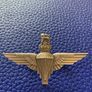 Parachute Regimen Cap Badge Image 2