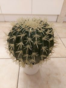 Brand New Lifelike Echinocactus Round Artificial Cactus   38 cm height