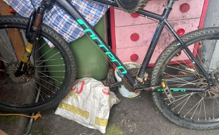 mountain bike