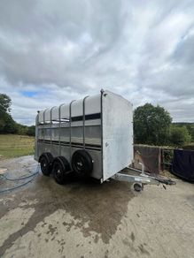 Ifor Williams box