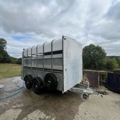 Ifor Williams box