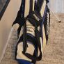 Titleist Carry Stand Bag Image 4