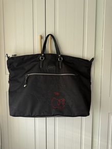 Samsonite Disney Travel Bag