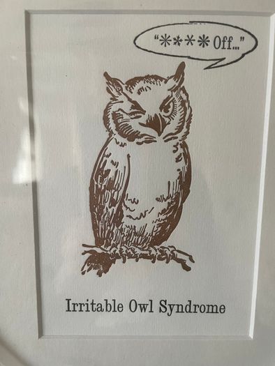 Framed Humorous Prints