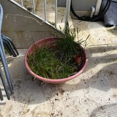 compost and extra large pot