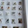 Framed Birds  of Ireland Stamp Collection Image 6