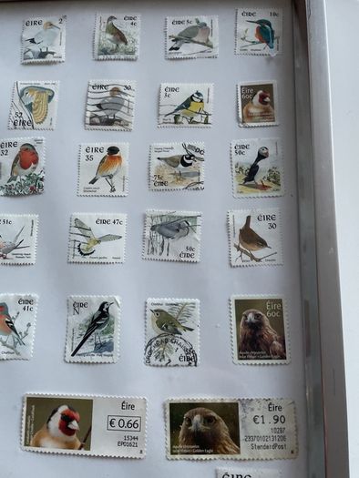 Framed Birds  of Ireland Stamp Collection