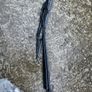 Alfa Spider GTV  97 parts , Some New Stuff Image 10