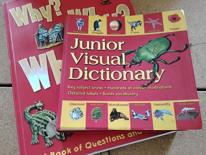 Children's Educational Book Bundle  Miles Kelly
