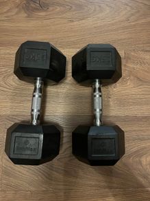 15kg hex dumbbells