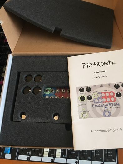 Pigtronix Echolution Delay Pedal -