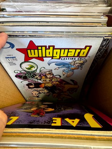 Image & Top Cow Long Comic Box w 320 comics for Sale