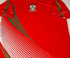 Loughgiel Shamrocks GAA (1915-2015) 100 Year Centenary O'Neills Hurling Jersey (Adult Large) FREE POST