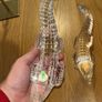 Pair of Rare Waterford Crystal 11.5 inch Crocodiles Image 3