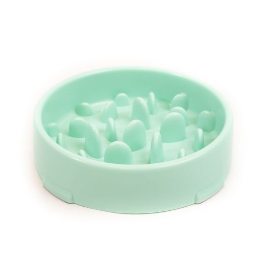 Slow Feeder Dog Bowl
