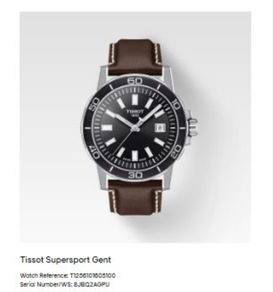 Men's Tissot Watch