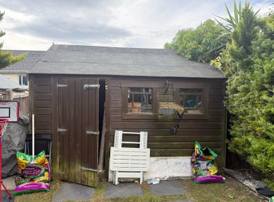 shed 10x12