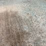 Rug Image 3
