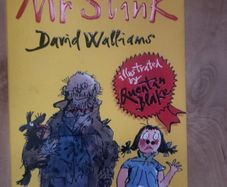 Mr Stink