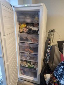 standing freezer