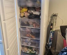standing freezer