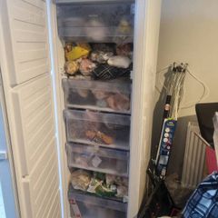 standing freezer