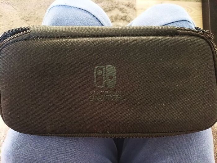 Nintendo Switch PowerA case
