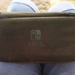Nintendo Switch PowerA case