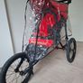 Running buggy Image 2
