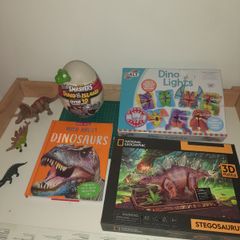 Dinosaur Activity & Toy Bundle  20e for the lot