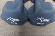 8KG Neoprene Dumbbells