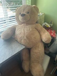 Teddy Bear