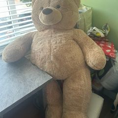 Teddy Bear