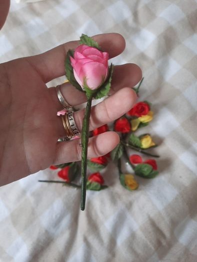 20 pin on roses