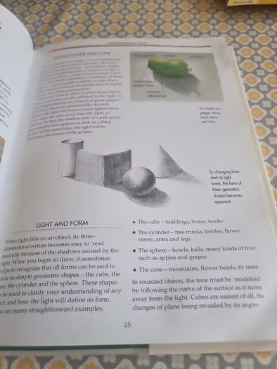 Collins Pastels Workshop: A Practical Course in Pastel Painting to Develop... (Hardcover)