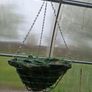 Hanging baskets Image 3