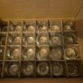 Box of 48 Image 3