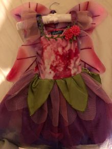 Fairy costume