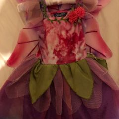 Fairy costume